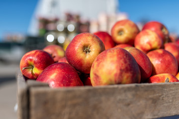 Red apples at an outdoor market in a wooden basket