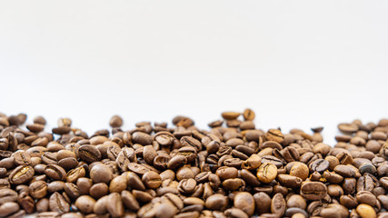 coffee beans evenly sprinkled on a white background