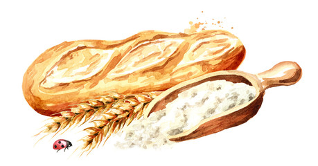 Fresh baguette with wheat ears and  flour. Hand drawn watercolor, illustration isolated on white background