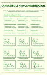 Cannabinols and Cannabinodiols with Structural Formulas vertical infographic illustration about cannabis as herbal alternative medicine and chemical therapy, healthcare and medical science vector.