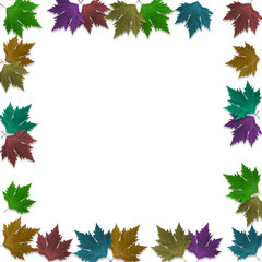 Autumn colored maple leaves isolated on white background with blank copy space.