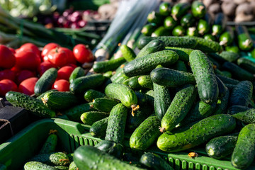 Stall with vegetables at the market. Tomatoes and cucumbers by day