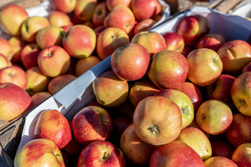 Red apples at an outdoor market in a wooden basket