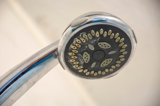 Dirty Chrome Shower Head With Limescale That Should Be Cleaned. Calcified Shower Due To Hard Water. Calcium Mineral Buildup.