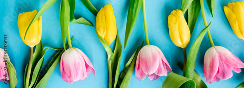 panoramic shot of blooming yellow and pink tulips on blue, mothers day concept
