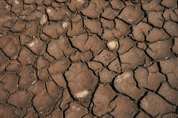 Dried cracked earth soil ground texture background. Mosaic pattern of sunny dried earth soil    