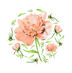 Hand drawn watercolor floral illustration - Delicate pink peonies circle isolated on white background. A set for design and decoration