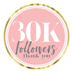 Thank you 30K followers. Pink and gold social media followers banner