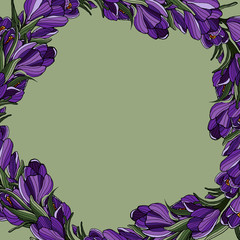 Crocus decoration2
