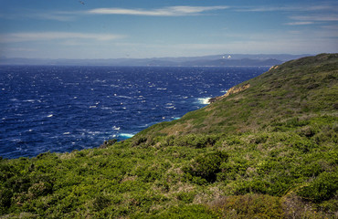 Parc national de Port Cros, Ile de Port Cros, Var, 83, &icirc;les d'Hy&egrave;res