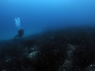 Scuba DIving Malta and Gozo