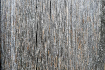 fiber boards, gray wood background