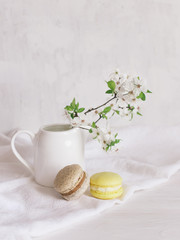 Fototapeta na wymiar Two tasty French macarons and a jar with blossoming branches on a white background. Pastel colors. Spring background.