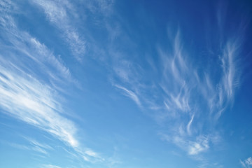Divorces of clouds on a blue morning sky.