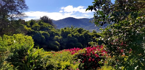 spring in the mountains