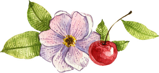 Watercolor floral bouquet. Hand painted isolated illustration.
