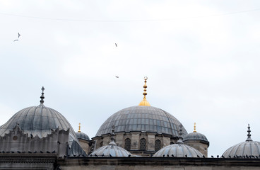 Fototapeta na wymiar blue mosque istanbul turkey