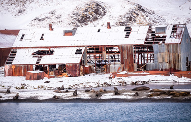 Grytviken, South Georgia Whaling Station