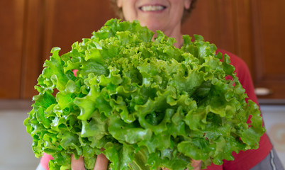 Farmer woman with a huge bunch of green salad harvested 
in the country side. 
kitchen in the background.