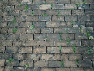 Brick floor pattern Background wallpaper