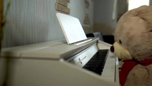 Bear on the piano hits his head on the keyboard