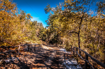 mountain, landscape, nature, sky, mountains, blue, clouds, forest, autumn, trees, valley, green, hill, view, snow, cloud, scenic, fall, travel, scenery, park, peak, colorado, panorama, tree