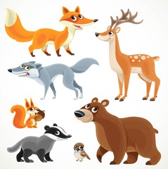 Big collection of wild forest animals bear, badger, fox, wolf, squirrel, sparrow, spotted deer isolated on a white background