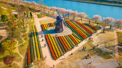 Aerial View of Suncheonman Bay National Garden located in Suncheon city,Jeonnam-do of South Korea