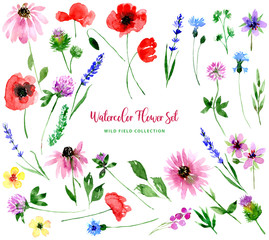 Watercolor wild field flowers set. Collection of isolated images of poppy, stork, clover, lavender, cornflower, echinacea, burdock. For print, pattern, textile, wallpapers, invitations, cards