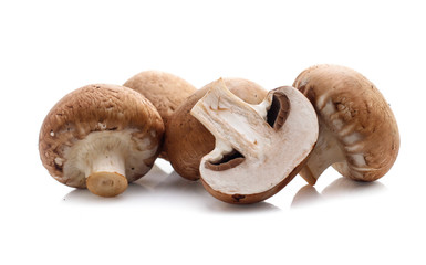 champignon mushrooms on white background