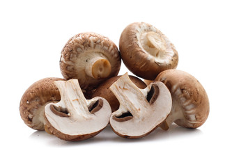 champignon mushrooms on white background