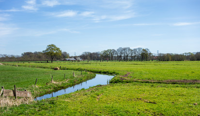 Fototapeta na wymiar Landscape at Coelhorst between Amersfoort and Soest, Netherlands
