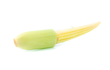 baby corn isolated on white background