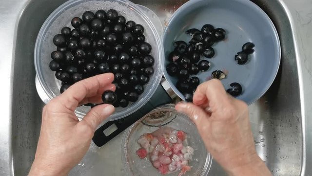 Hands take freshly jabuticaba or jaboticaba and separate the pulp. Organic red Brazilian fruit rich in vitamins.