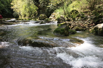 Obraz premium Remolino