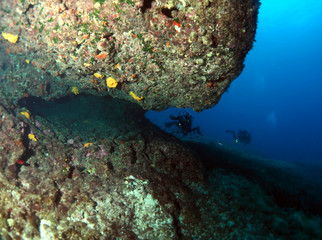 Scuba Diving Malta Gozo Comino