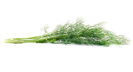 Green dill isolated on white background