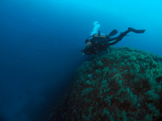 Scuba Diving Malta Gozo Comino