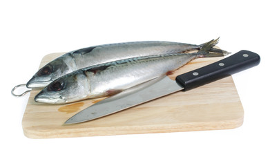 Fresh saba fish isolated on white background