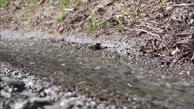 Trinkwasserableitung f&uuml;r Reinigung von Wasserspeicher am Stra&szlig;enrand, 