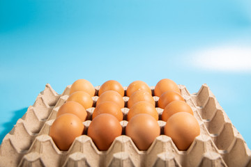 Organic fresh Chicken egg in carton box with blue background