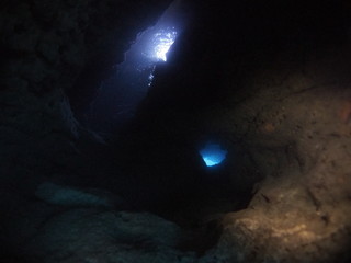 Fototapeta premium Scuba Diving Malta Gozo Comino