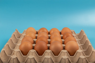 Organic fresh Chicken egg in carton box with blue background