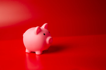 Piggy bank on red background