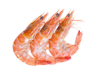 Shrimp isolated on the white background