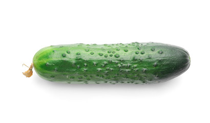 Green cucumber on white background