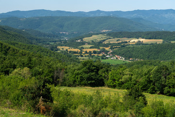 Fototapeta na wymiar Summer landscape near Verna, Tuscany