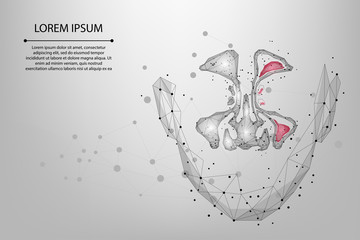 Abstract mesh line and point Sinusitis. Low poly Healthy and inflammation nasal sinus. Polygonal vector illustration