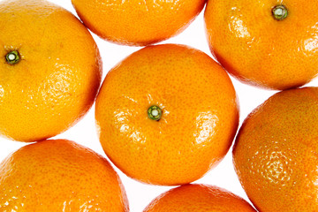 orang isolated on white