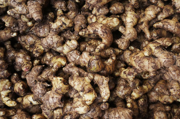 Fresh organic ginger sell in traditional market indonesia. 